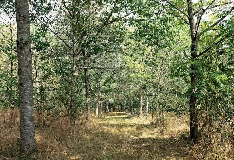 Hotelli Chateau L  Escale