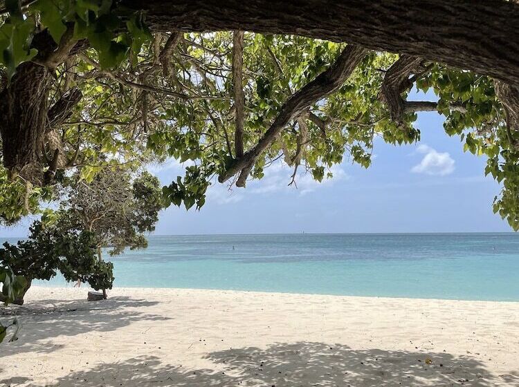 هتل The Mill Resort & Suites