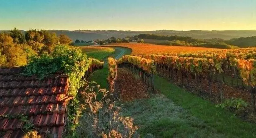 ベッドアンドブレックファースト Maison Reces