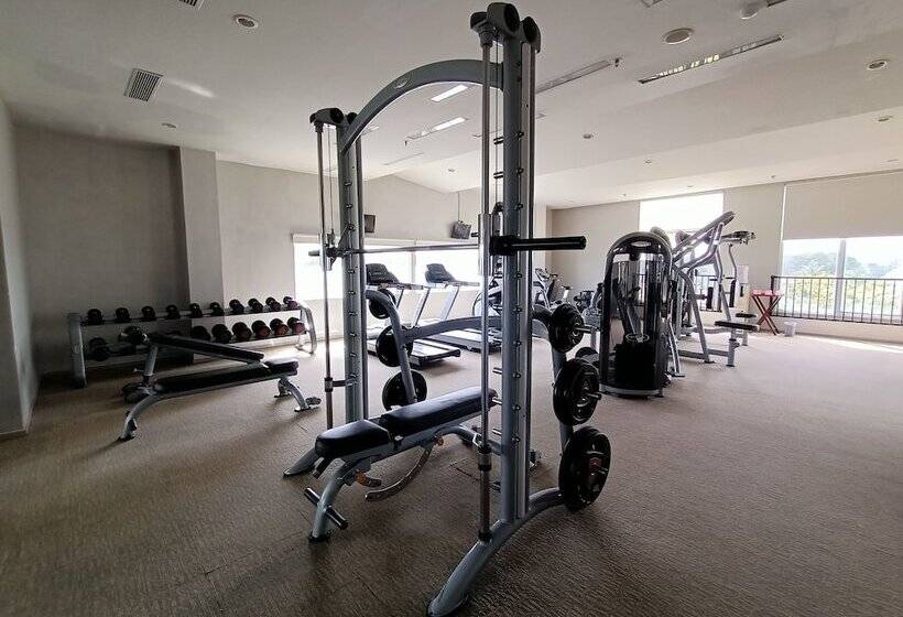 Отель The Melio Enim