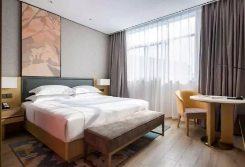 The Hotel V Nanjing Lishui
