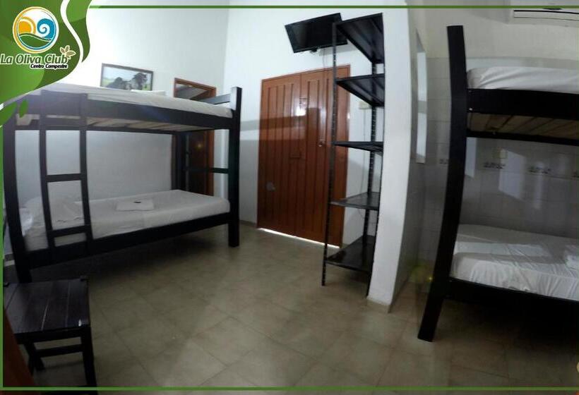 הוסטל La Oliva Club Centro Campestre