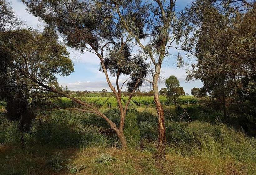 Barossa Glen ~ Henri's Cottage ~ Bed & Breakfast