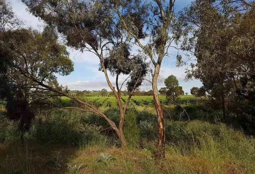 Barossa Glen ~ Henri's Cottage ~ Bed & Breakfast