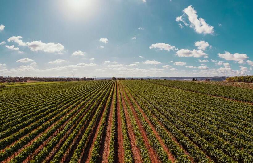 צימר La Vinia Bed&wine Experience   Adults Only