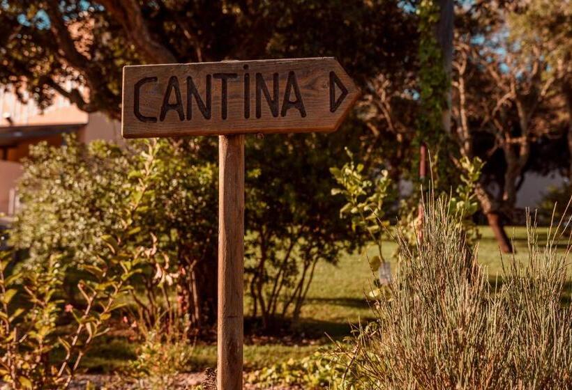 צימר La Vinia Bed&wine Experience   Adults Only