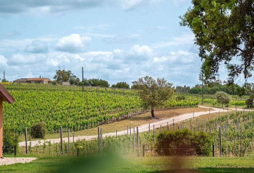 צימר La Vinia Bed&wine Experience   Adults Only