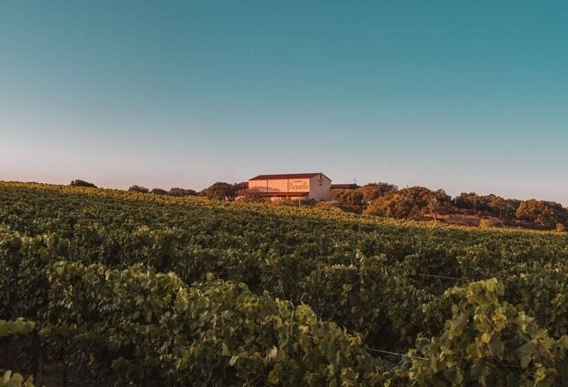 צימר La Vinia Bed&wine Experience   Adults Only