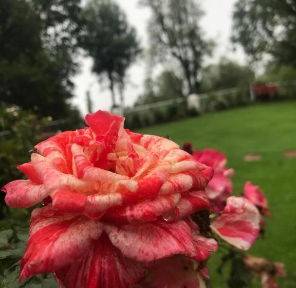 H.m.h Lodges & Hotel Resort