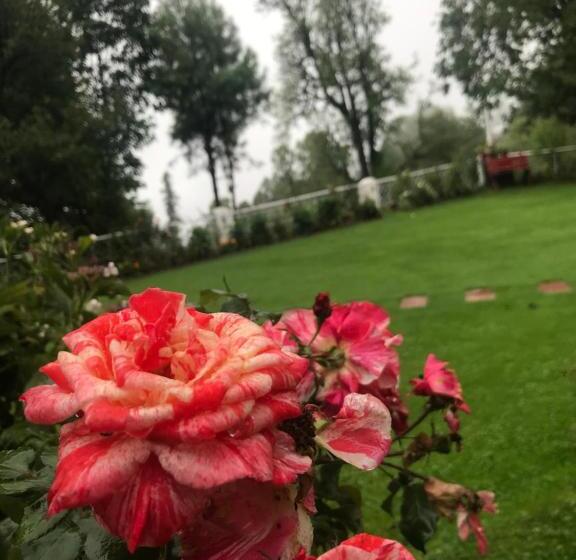 H.m.h Lodges & Hotel Resort