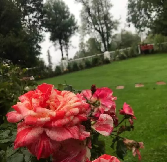 H.m.h Lodges & Hotel Resort