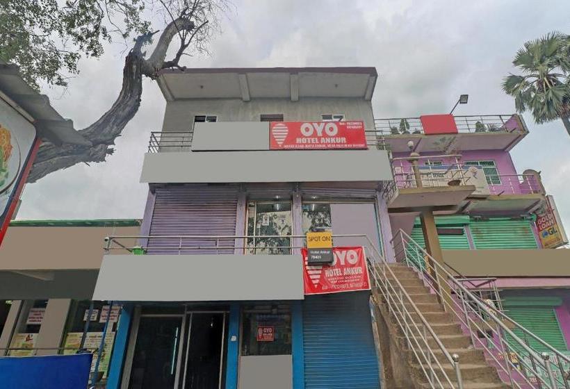 Hotel Spot On 78401 Ankur