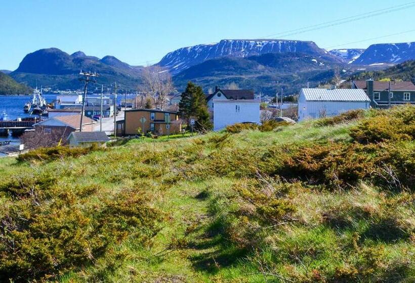 호텔 The Rooms At Woody Point