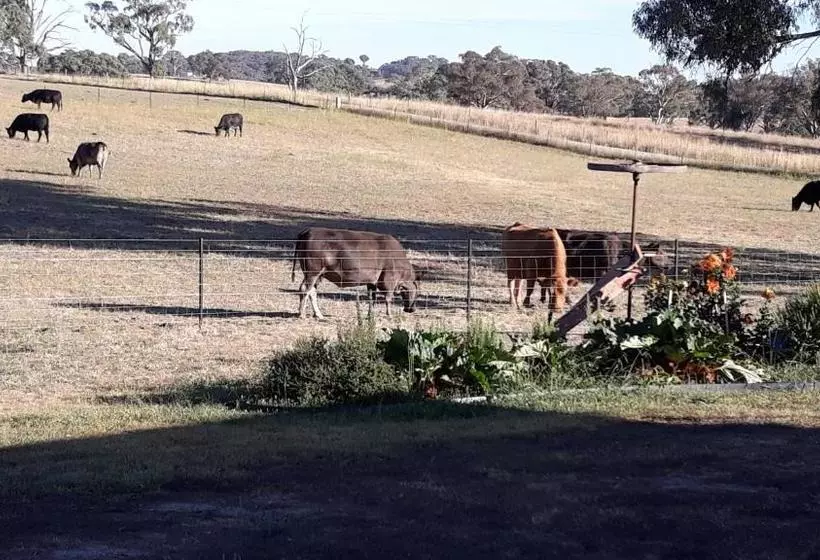 ペンション Gindanha