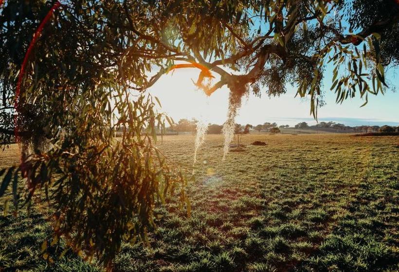 بنسيون Gindanha