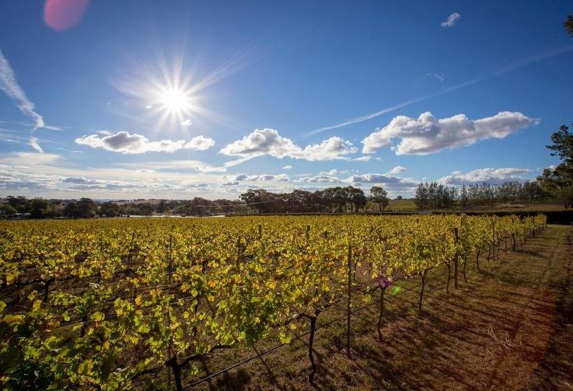 بنسيون Gindanha