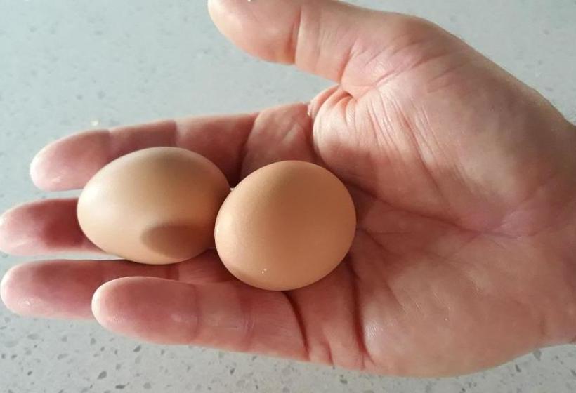 بنسيون Gindanha