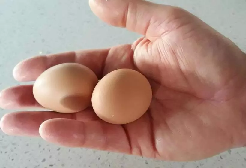 ペンション Gindanha