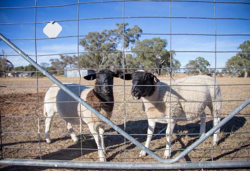 بنسيون Gindanha