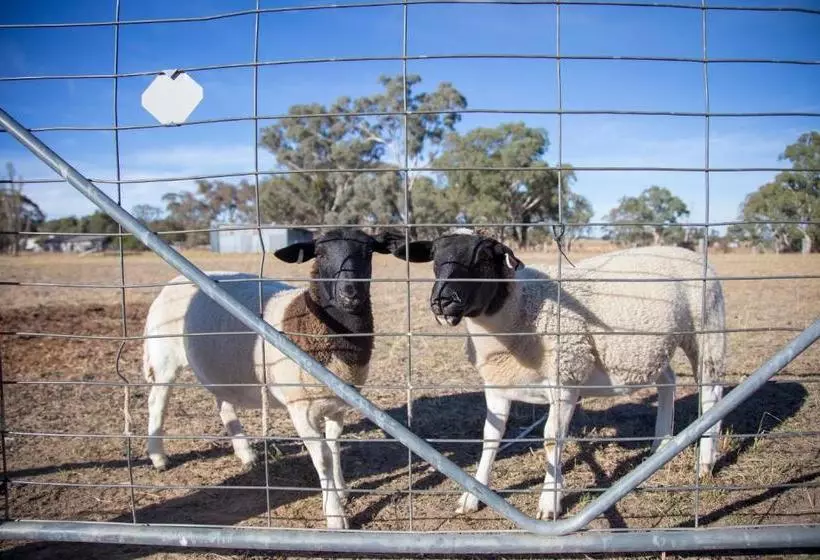 ペンション Gindanha