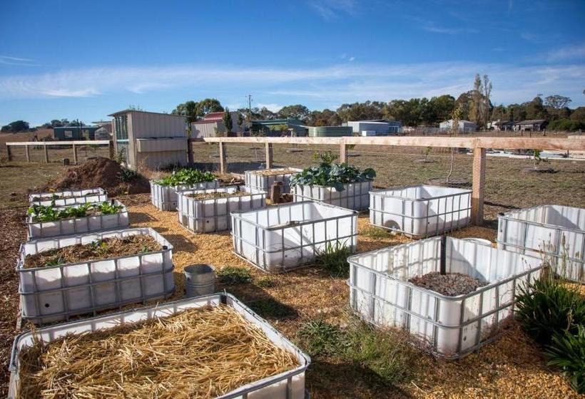 بنسيون Gindanha