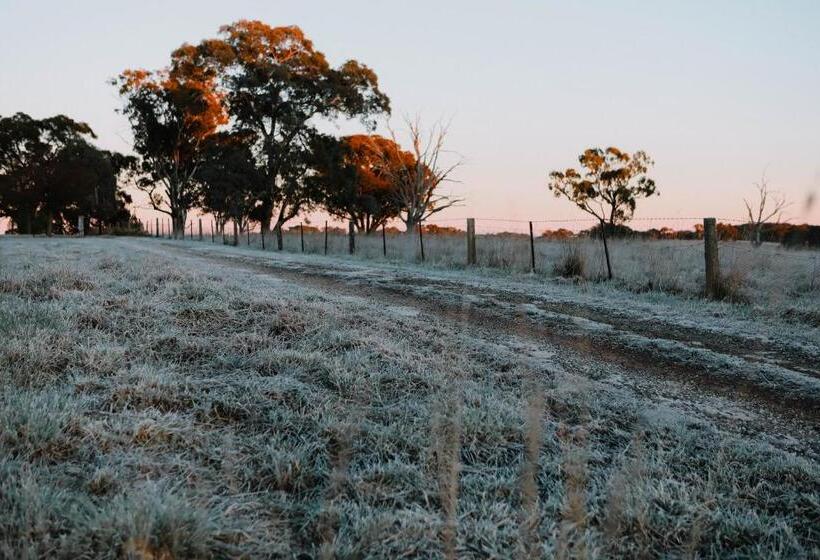 بنسيون Gindanha