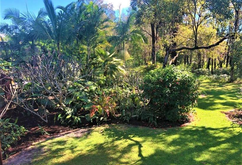 Пансион Hideaway Tweed Coast Holidays