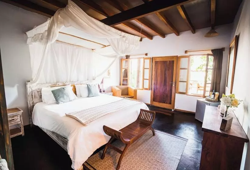 ベッドアンドブレックファースト Villa Del Sol