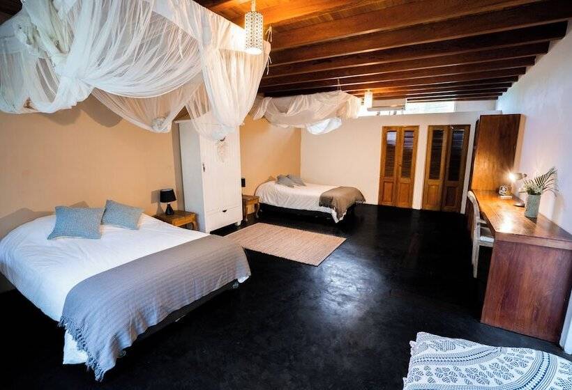 Bed and Breakfast Villa Del Sol