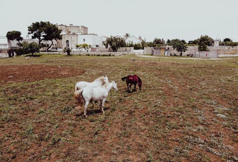 هتل Masseria Francescani