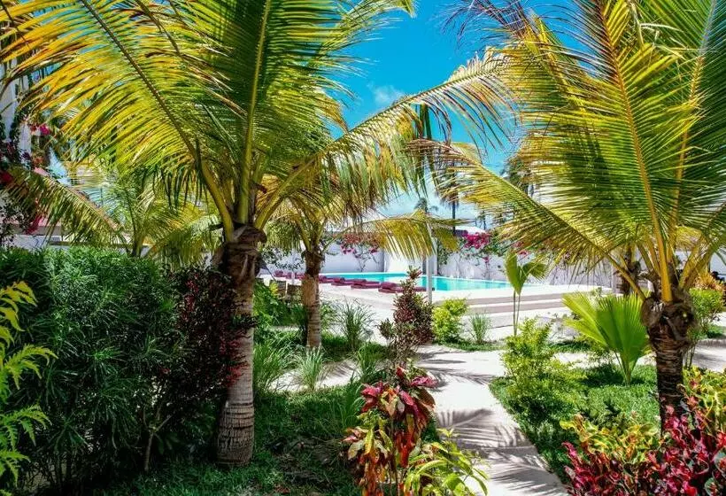 リゾートホテル Paje White House