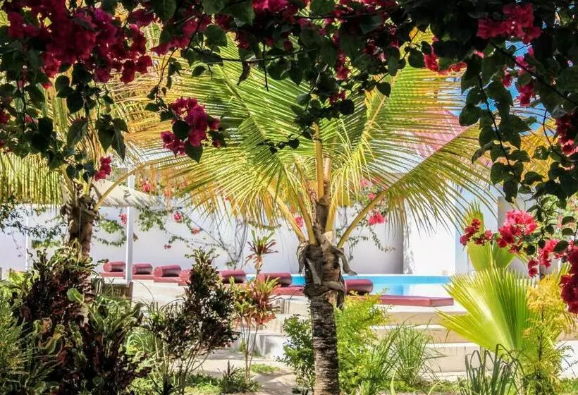 リゾートホテル Paje White House