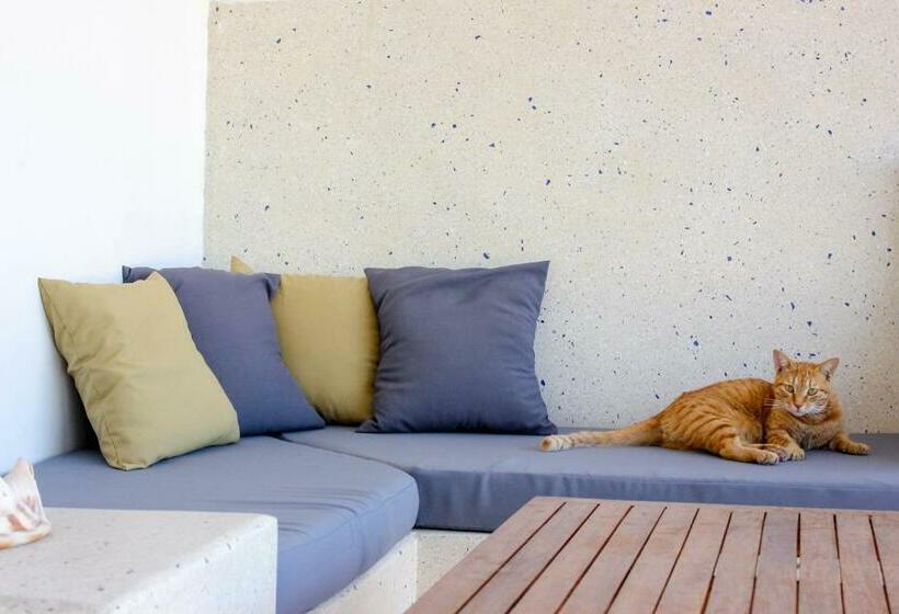 منتجع Paje White House