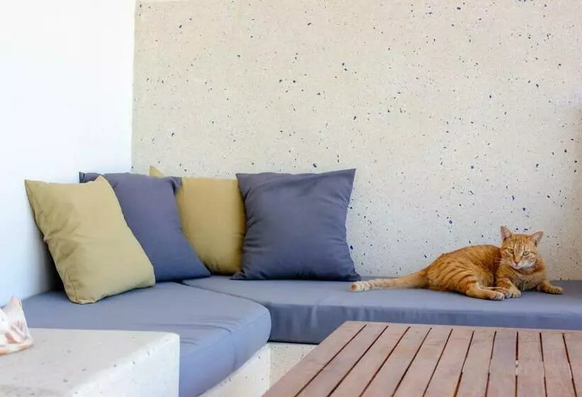 リゾートホテル Paje White House