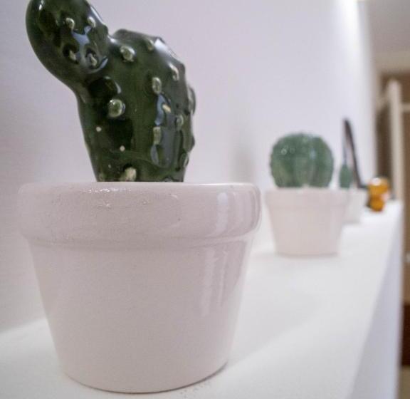 Asylum Amicorum Bed & Breakfast