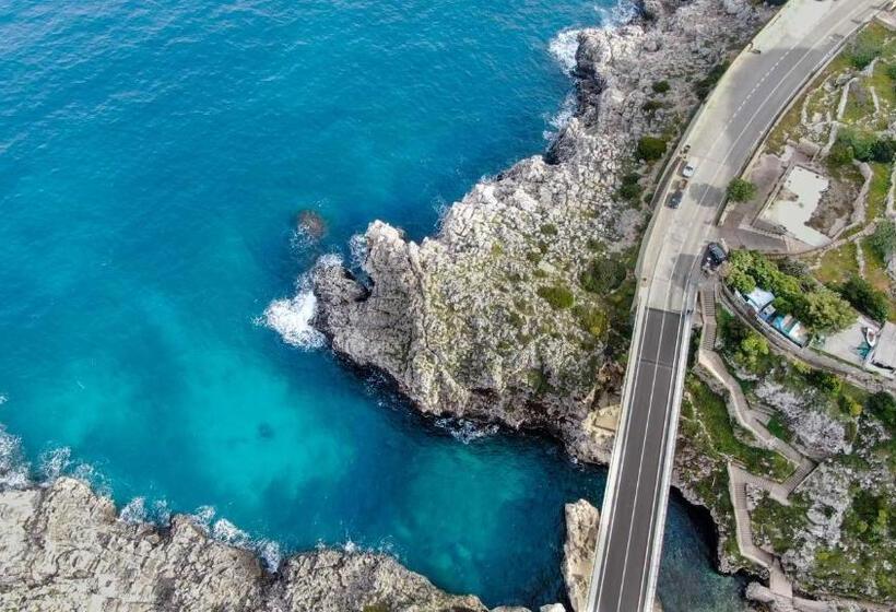 Asylum Amicorum Bed & Breakfast