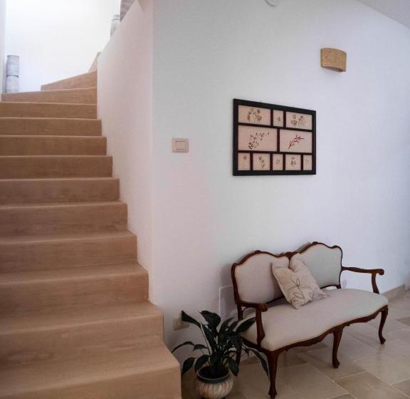 Asylum Amicorum Bed & Breakfast