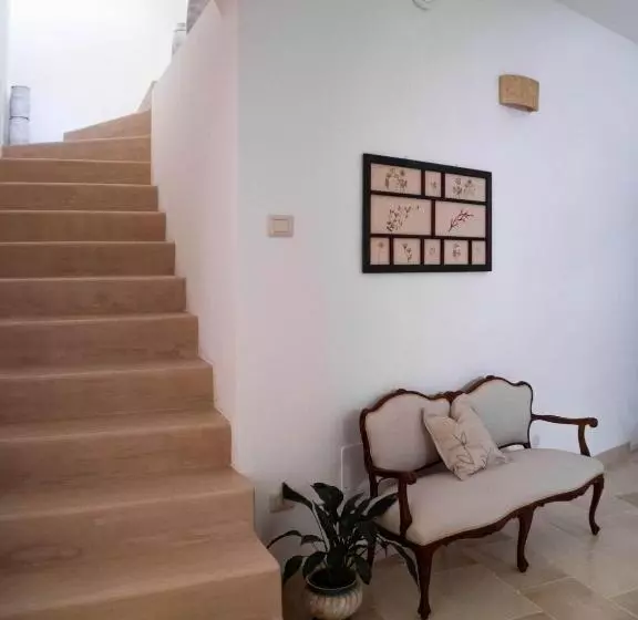 Asylum Amicorum Bed & Breakfast