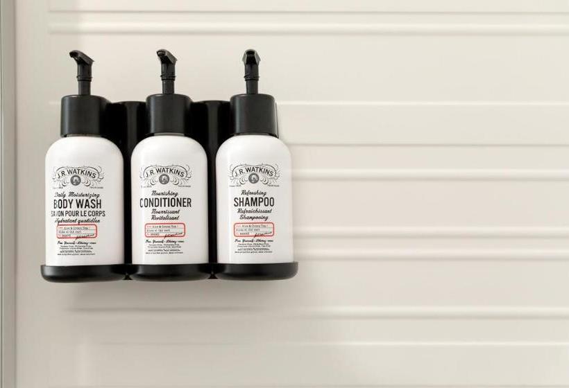 Avid Hotel   Ft Lauderdale Airport   Cruise, An Ihg