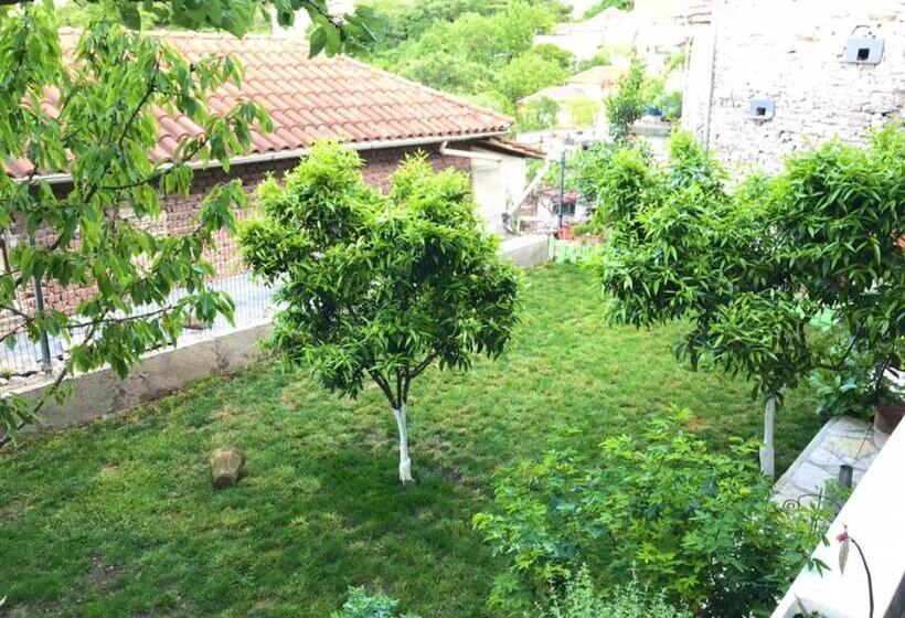 پانسیون Mani Guest House