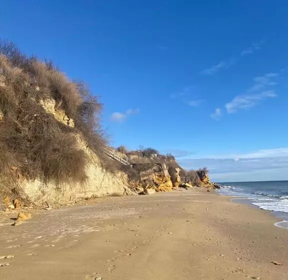 Bukhta