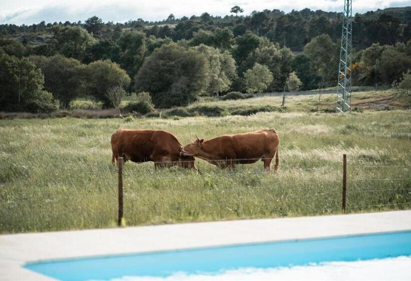 هتل Quinta Do Rio Noémi