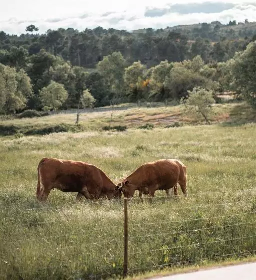 هتل Quinta Do Rio Noémi