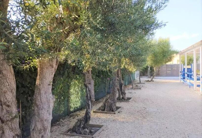 B&b Villa Nancy