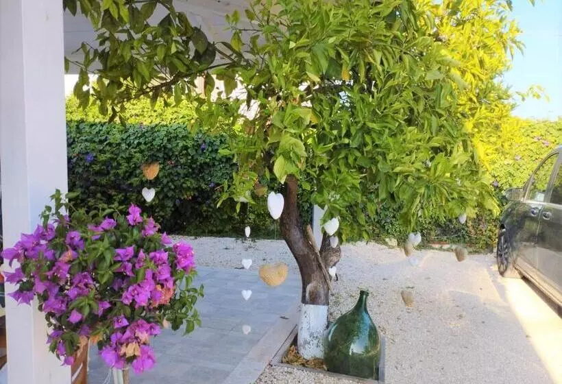 B&b Villa Nancy