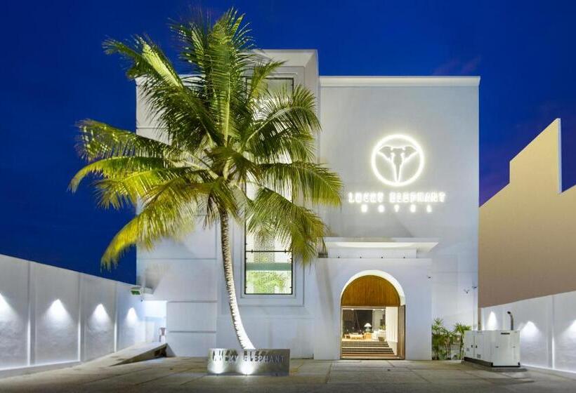 فندق The Lucky Elephant