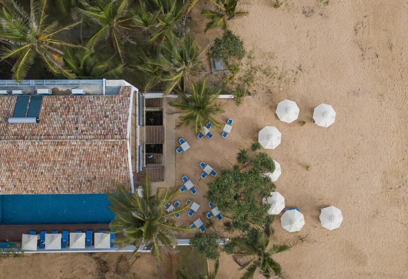 فندق The Lucky Elephant