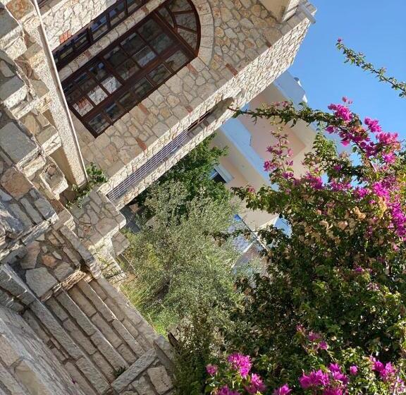 پانسیون Solomon&sons