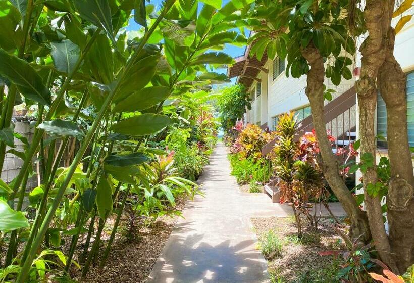 Waiohuli Beach Hale D227 Aloha La I Oceanfront/1b1b/wifi/ac/cable/pool/extras