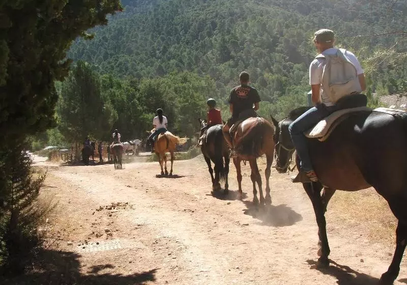 Apartamentos Rurales Campillo